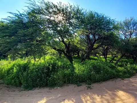 Terreno en Venta de 800,0 m2