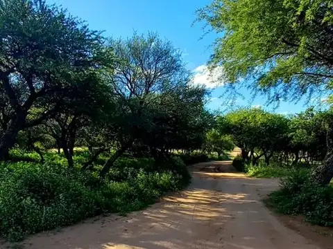 Terreno en Venta en Toay, USD 24.500