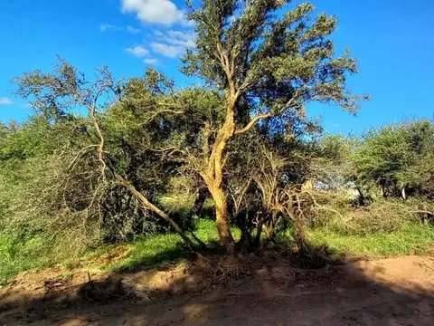 Terreno en Jujuy s/n - Loteo El caldenal, Toay