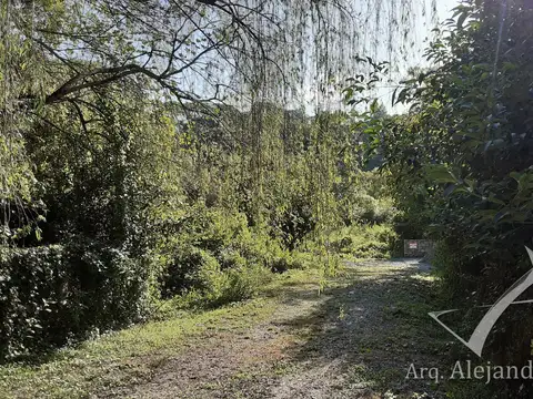 c julio castellanos 700