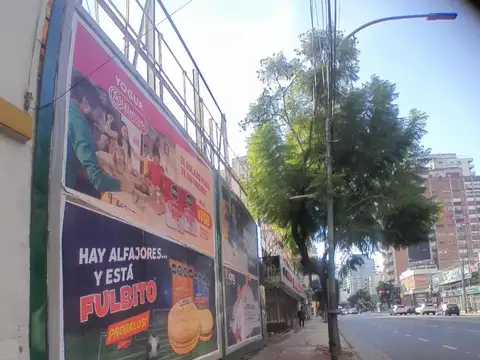 Alquiler Lote 223m2 libre,Vicente Lopez sobre Avenida