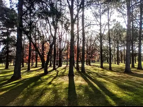 Terreno en Venta de 750,0 m2