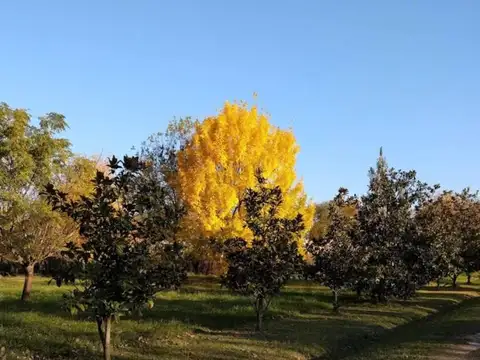 Ruta 28 Km 4,5 , Piso 0
