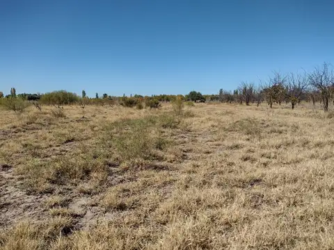 Terreno en Venta en San Rafael, USD 50.000