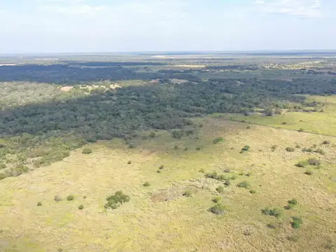 CAMPO GANADERO EN VENTA EN VILLA GUILLERMINA