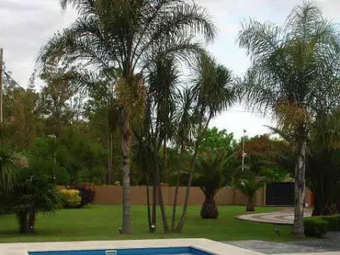 Quinta | RIO SALADO al 300