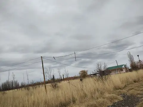 Carlos Sabbatini 1200