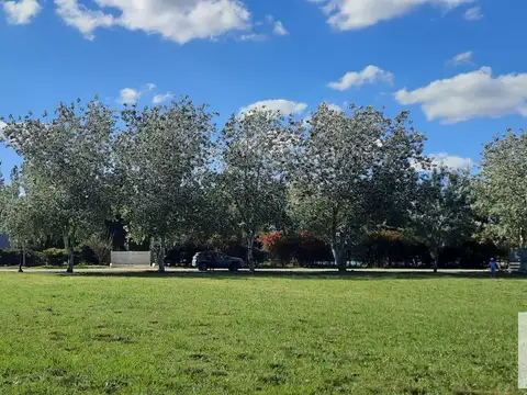 Terreno en Venta 60  mts Fondo