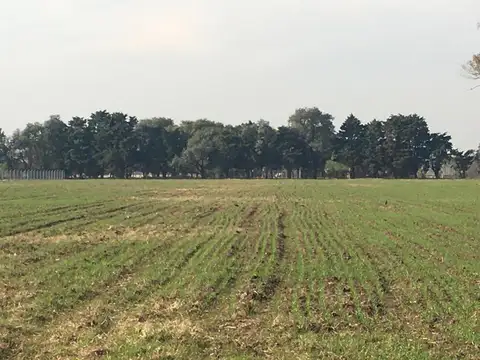 Campo de 24 hs en Gral Rodriguez.  ideal para desarrollo en la mejor zona del POLO