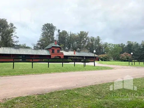 HARAS SAN PABLO