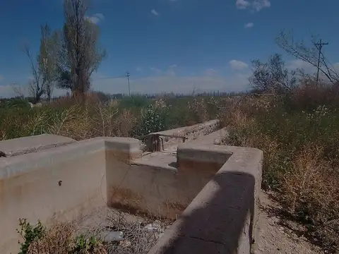 VENTA DE FINCA 5,2ha PERDRIEL, LUJAN DE CUYO