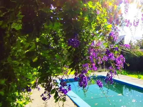 VENTA CASA CON PILETA ARROYO SECO