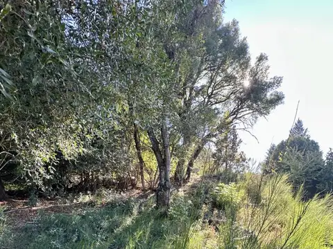VENTA TERRENO SAN MARTIN DE LOS ANDES . BARRIO ALIHUEN ALTO