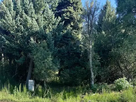 Terreno en Venta de 1135,0 m2