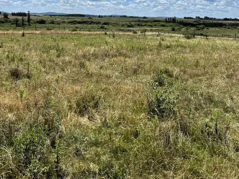 Campo 71 ha con costa de arroyo – Maldonado