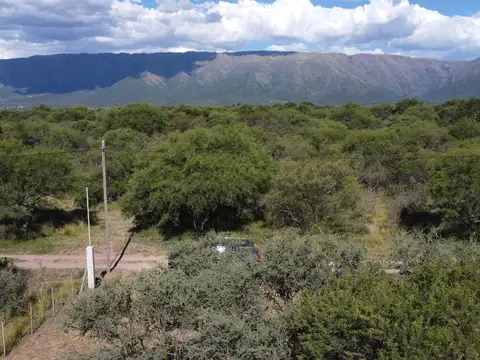 Cortaderas 6 cuadras de la plaza