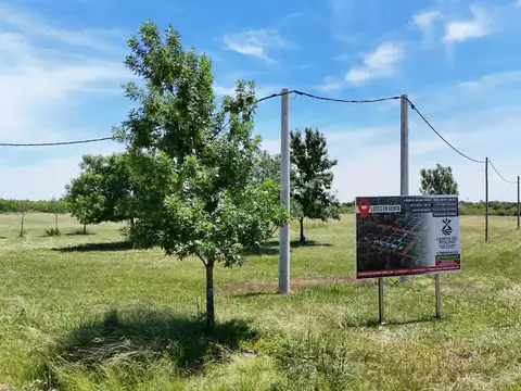 Loteo Campos del Molino Juan Manuel de Rosas zona Molino Forclaz