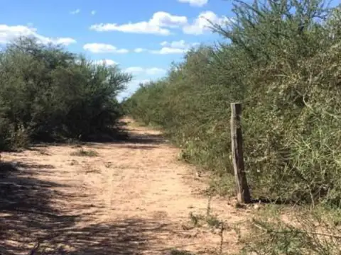 Campo en Venta con Alambrado