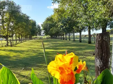 CAMPO 16 Has. sobre calle de asfalto - en Baradero - POZZI INMO