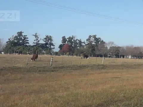 R.38 - Camino a Portela