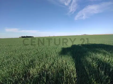 Oficina en Venta en Diaz, USD 558.000