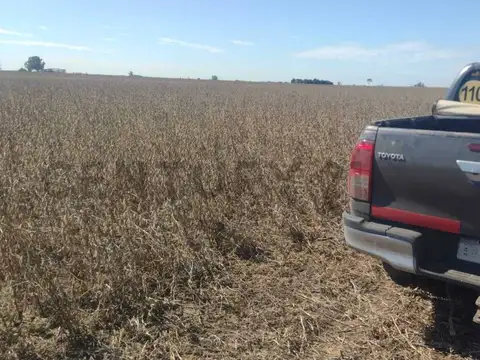 Oficina en Venta 2025 años