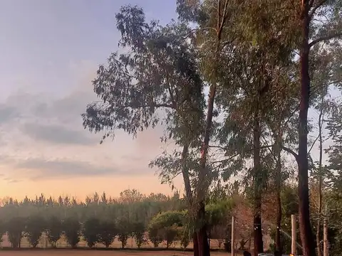 Casa en alquiler de 4 ambientes en Estancias Del Pilar, Pilar, GBA Norte