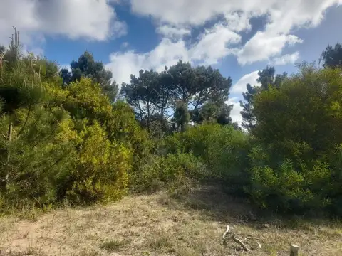 Terreno en Venta 50  mts Fondo