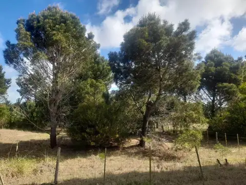 CALLE 27 (AV. ALMTE. BROWN) LOTES 4 Y 5 - 2000 M2 TOTALES