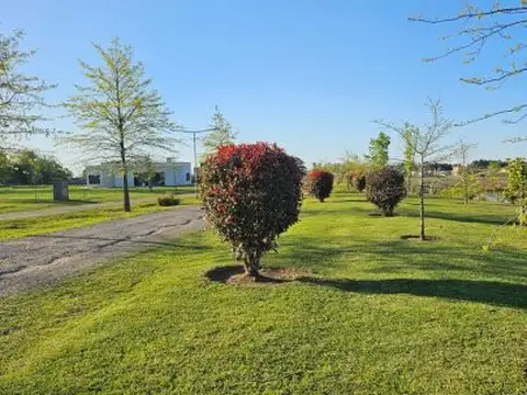 Lotes En Los Juncos, Barrio Cerrado, Lujan En Venta