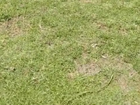 Campo en Venta Chacra