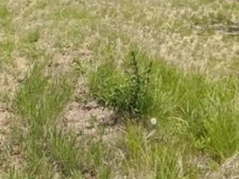 Campo en Venta de 6  ha