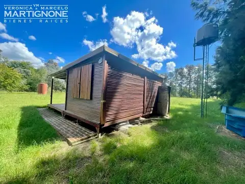 Manzanares Pilar - 1 ha con arboles