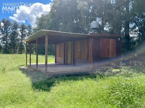 Manzanares Pilar - 1 ha con arboles