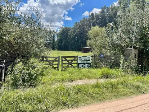 Manzanares Pilar - 1 ha con arboles