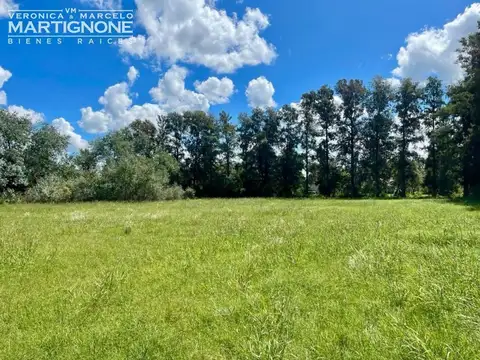 Manzanares Pilar - 1 ha con arboles