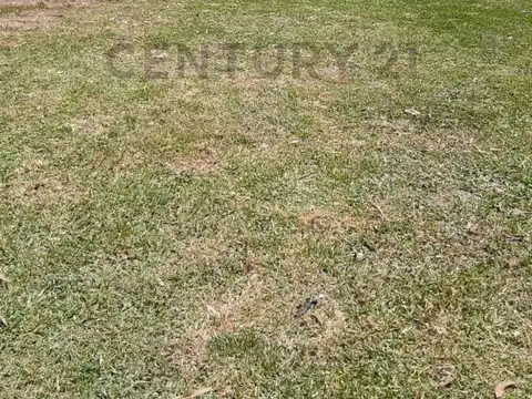 17 entre 90 y 93 , Piso 0