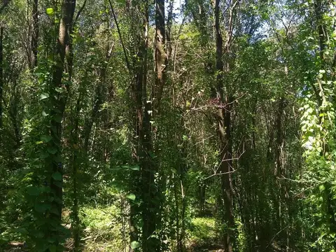 VENTA-GRAN LOTE EN RIO CEBALLOS-2.6 HAS.