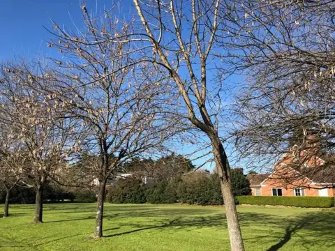 Terreno Lote  en Venta ubicado en Tortugas Country Club, Pilar, G.B.A. Zona No - BUN0289_LP430628_1