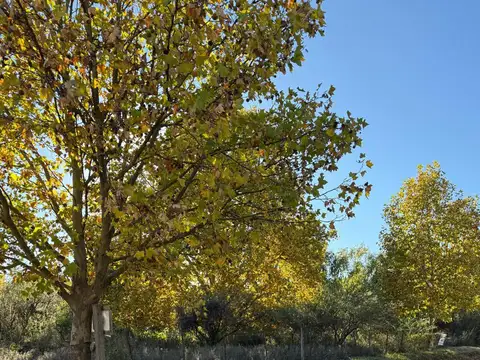 Se vende terreno a 100 mts. del golf de La Cumbre, Gas Natural
