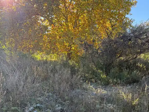 Terreno en Venta de 900,0 m2