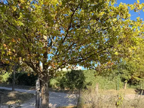 pueyredon 100