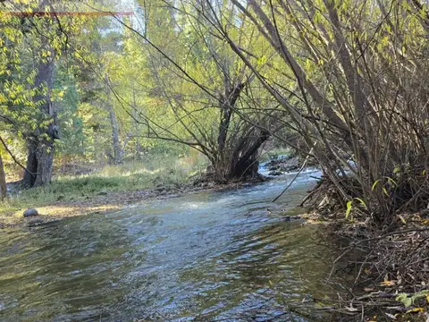 Campo Chacra en El Bolsón (a 12 km)