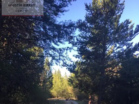 Ruta 40, KM 1927
