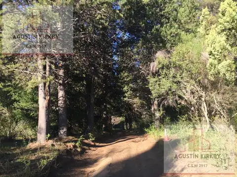 Campo Chacra en El Bolsón (a 12 km)