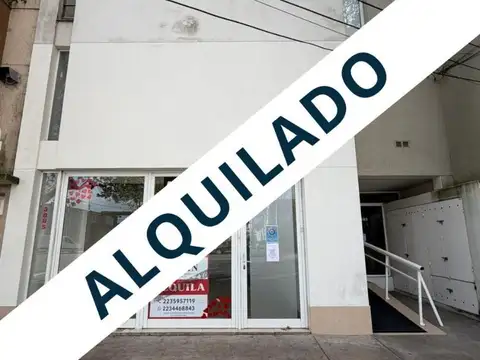 LOCAL 90 M2 + PATIO P/VEHICULOS 100 M2