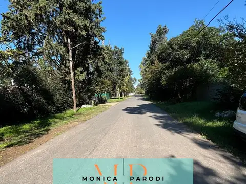 Ricardo guiraldes al 700