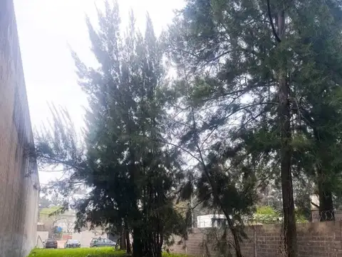 Terreno en Venta de 579,0 m2