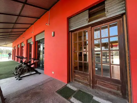 Gaspar Campos al 1500