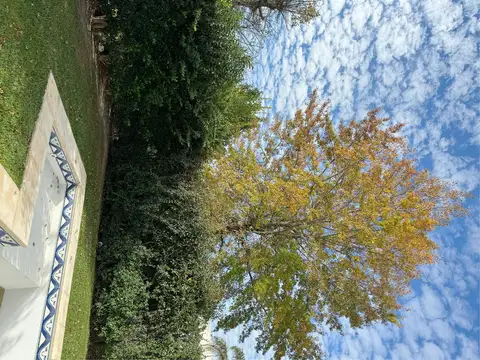 Fuerza Aerea 3104 Cadaques Funes Hills 3100